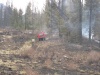 Пожар на территории Катунского заповедника